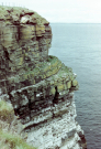 duncansby head at john o groats
