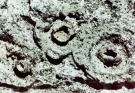 dunno, maybe fossilized bird droppings