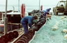 fishermen mending the nets