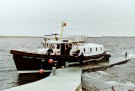 golden mariuana at the jetty of rapness