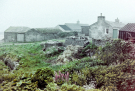 houses in the mist