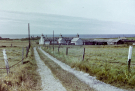 road to farm on the westcoast