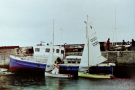 orkney 1987 westray - the famous summer regatta