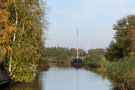 the marshes of botshol 2018 - old and new at waverveen
