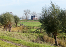 the marshes of botshol 2018 - old mill