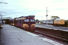 Limerick station train at platform1980