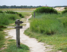 reserve-naturelle-baie-de-canche-10 path to the beach