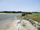 reserve-naturelle-baie-de-canche-13 hunters hideout