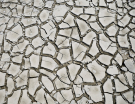 reserve-naturelle-baie-de-canche-19 dry mud