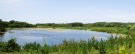 reserve-naturelle-baie-de-canche-5 marais