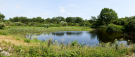 reserve-naturelle-baie-de-canche-7 marais