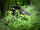 roundwalk a sainte honorine la guillaume (orne) 2009 - old cart in the woods