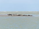 france 2022 pointe du hourdel seals 3