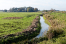 the marshes of botshol 2018 - fosse