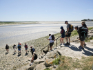 crossing somme bay on foot (1)