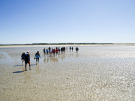 crossing somme bay on foot (2)