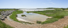 mudflats in somme bay