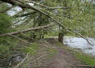 2022 horsterwold stille kern storm damage