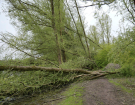 2022 horsterwold stille kern storm damage