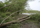 2022 horsterwold stille kern storm damage