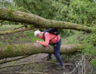 2022 horsterwold stille kern storm damage