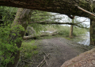 2022 horsterwold stille kern storm damage