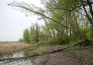 2022 horsterwold stille kern storm damage