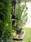 thierache - a walk around ohis - old waterpump