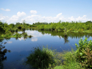 voie-verte-briouze-to-bagnoles-7-marais-du-grand-hazé