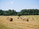voie-verte-la-fouqueliere-to-bellou-sur-huisne-14-hay-rolls
