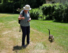 voie-verte-st-langis-to-la-foucqueliere-11-manoir-de-la-vove-cat