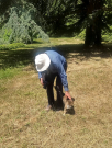 voie-verte-st-langis-to-la-foucqueliere-12-manoir-de-la-vove-a-well-manoired-cat