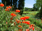 voie-verte-st-langis-to-la-foucqueliere-16-manoir-de-la-vove