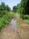 A walk around Royon 11 - The path is flooded