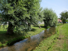 A walk around Royon 3 - pollard willows