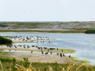 france 2022 - wetlands scene at observation point behind the boulder dyke 