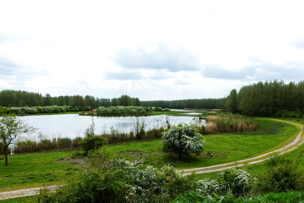 View from the hill - normal water level